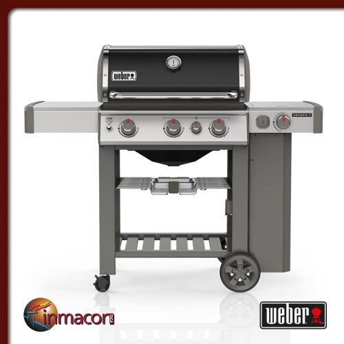 Barbacoa Weber - Genesis II E-310